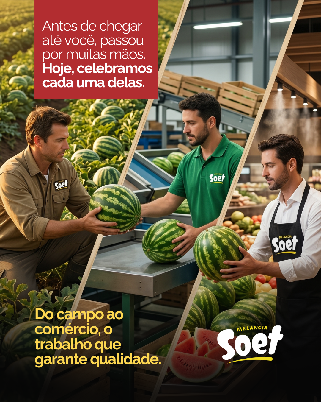Design para Mídias Sociais 6
